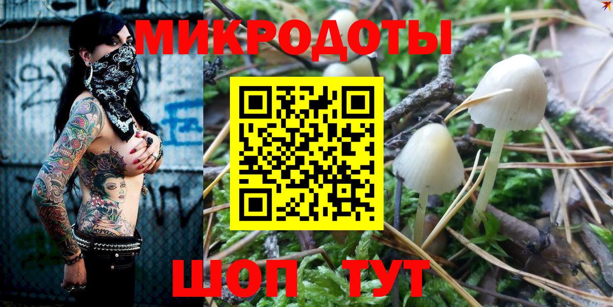 Краснодар  Галлюциногенные грибы MAGIC MUSHROOMS  Вход с VPN 
